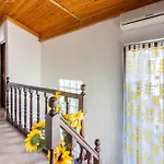 In 45055 Case de vacanță
